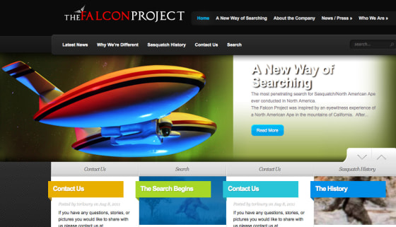 Image: The Falcon Project website